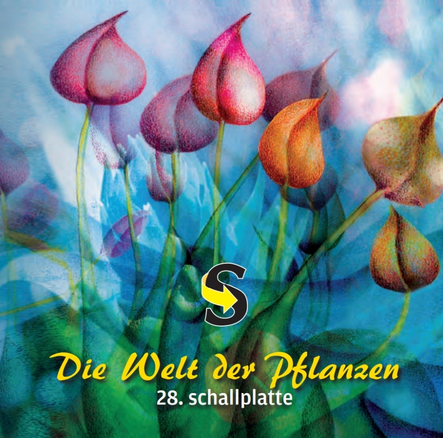 Cover Schallwende Schallplatte 28